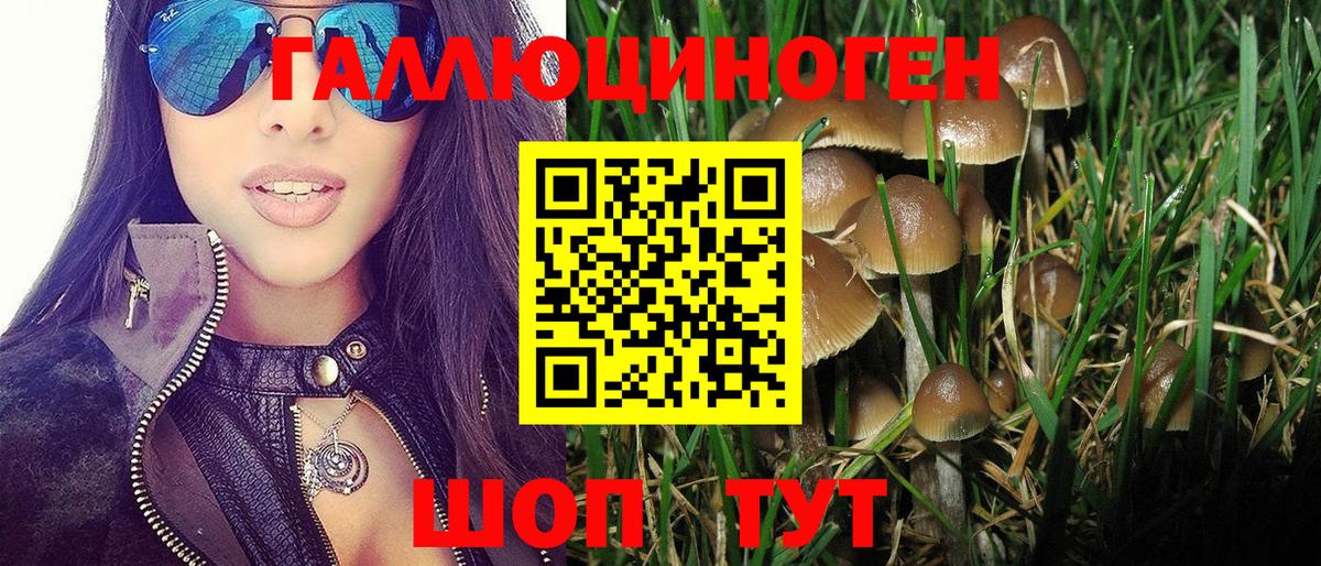 Сарапул  Галлюциногенные грибы MAGIC MUSHROOMS  Вход с VPN  Галлюциногенные грибы GOLDEN TEACHER 